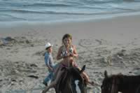 oct07 625.jpg (110kb)